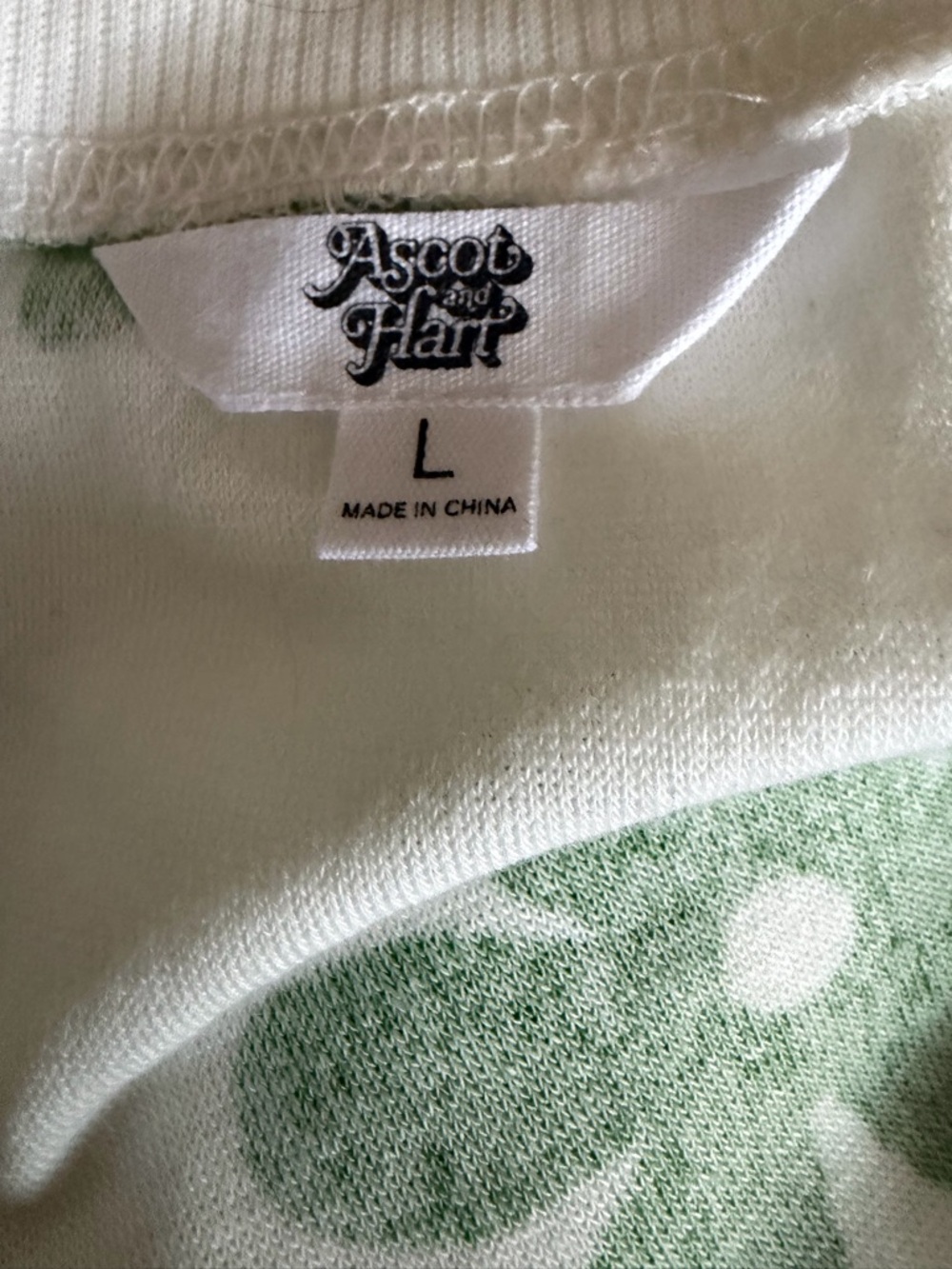 Ascot and Hart Women's Scoop Neck Sweater in White and Light Green